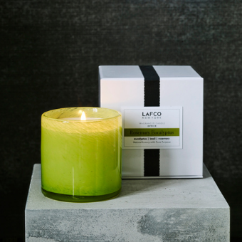 Rosemary Eucalyptus Signature Candle (15.5 oz)